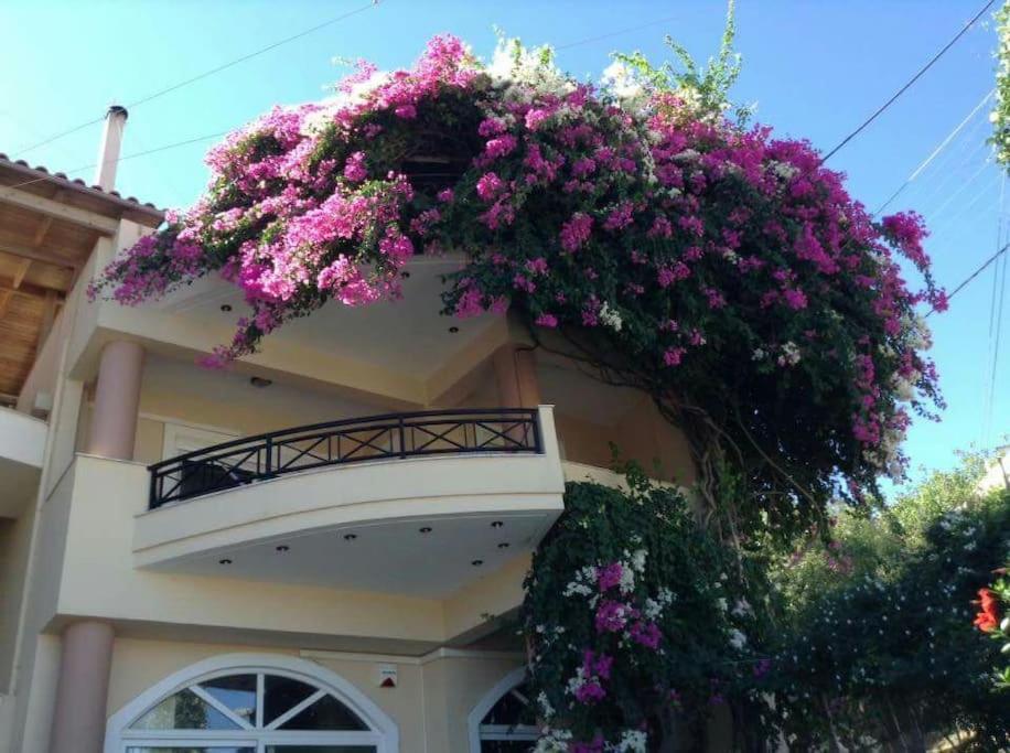 Lenico Beachfront Suites Αγία Πελαγία  Εξωτερικό φωτογραφία