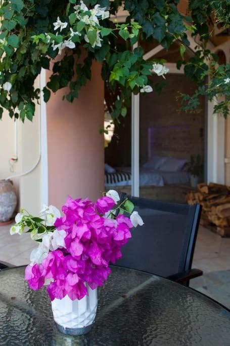 Lenico Beachfront Suites Αγία Πελαγία  Εξωτερικό φωτογραφία