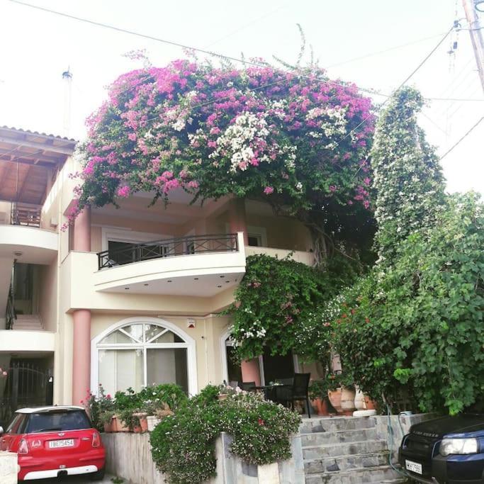 Lenico Beachfront Suites Αγία Πελαγία  Εξωτερικό φωτογραφία