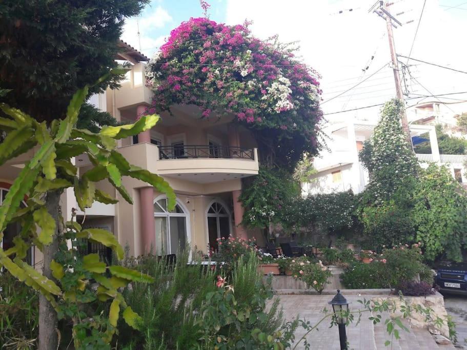 Lenico Beachfront Suites Αγία Πελαγία  Εξωτερικό φωτογραφία